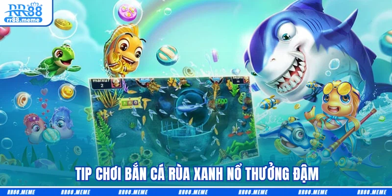  Tip chơi Bắn cá Rùa xanh nổ thưởng đậm