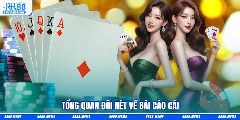 Tổng quan đôi nét về Bài Cào Cái