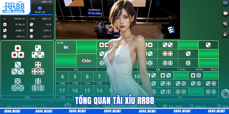 Tổng quan Tài Xỉu RR88